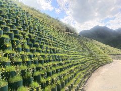 天祝縣2018祁連山國家公園體質(zhì)試點(diǎn)項(xiàng)目